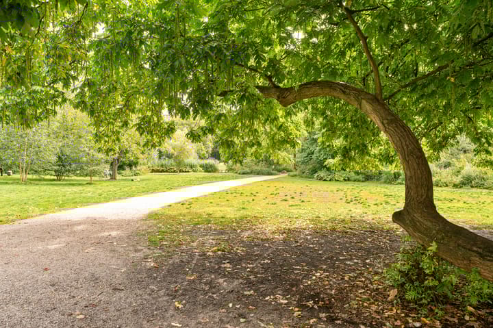 Foto 28 van Pieter Aertszstraat 110-4