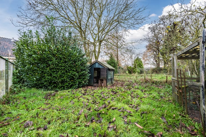 Photo 50 of Wijtgraaf 33