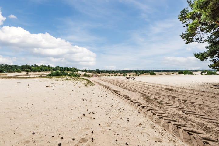 Photo 60 of Wijtgraaf 33