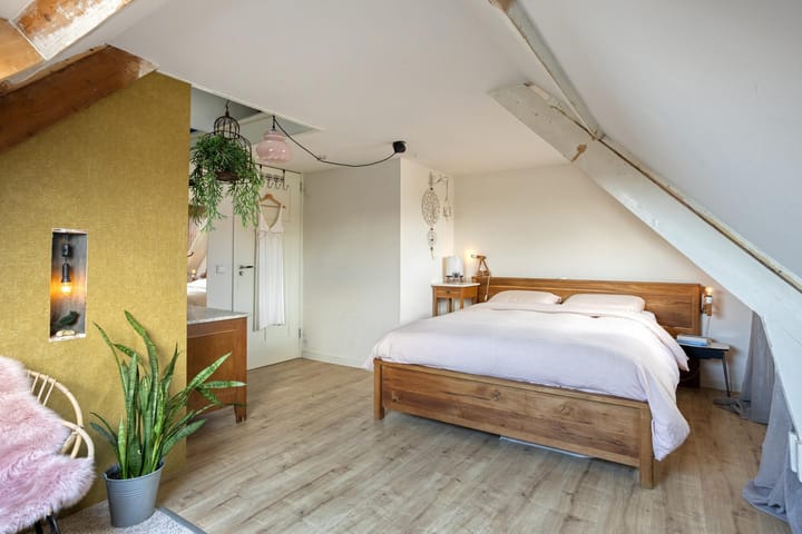 Foto 36 van Zeelsterstraat 1