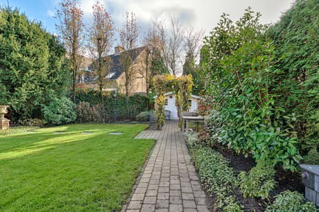 Hofstraat 20 tertiary image