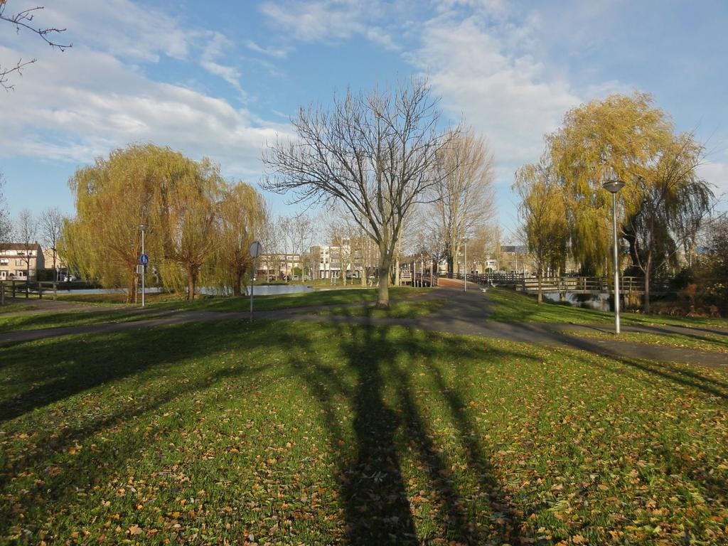 Foto 2 van Guus Kuyerzijde 9