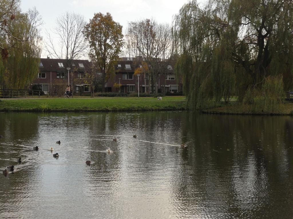 Foto 17 van Guus Kuyerzijde 9