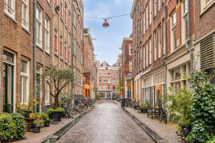 Foto 23 van Eerste Goudsbloemdwarsstraat 7-A