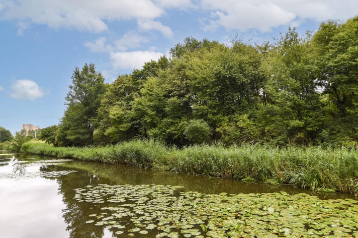 Foto 24 van Ottho Heldringstraat 33-L