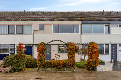 undefined main image