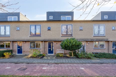 Multatulipad thumbnail