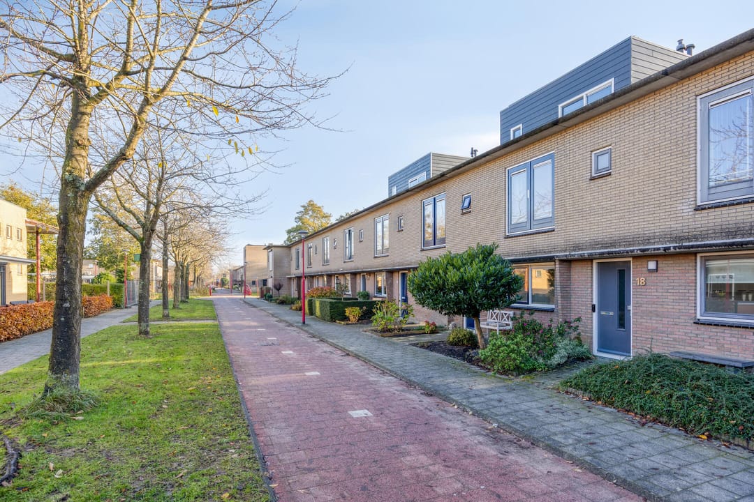 Foto 7 van Multatulipad 20