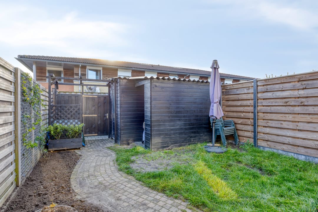 Foto 46 van Multatulipad 20