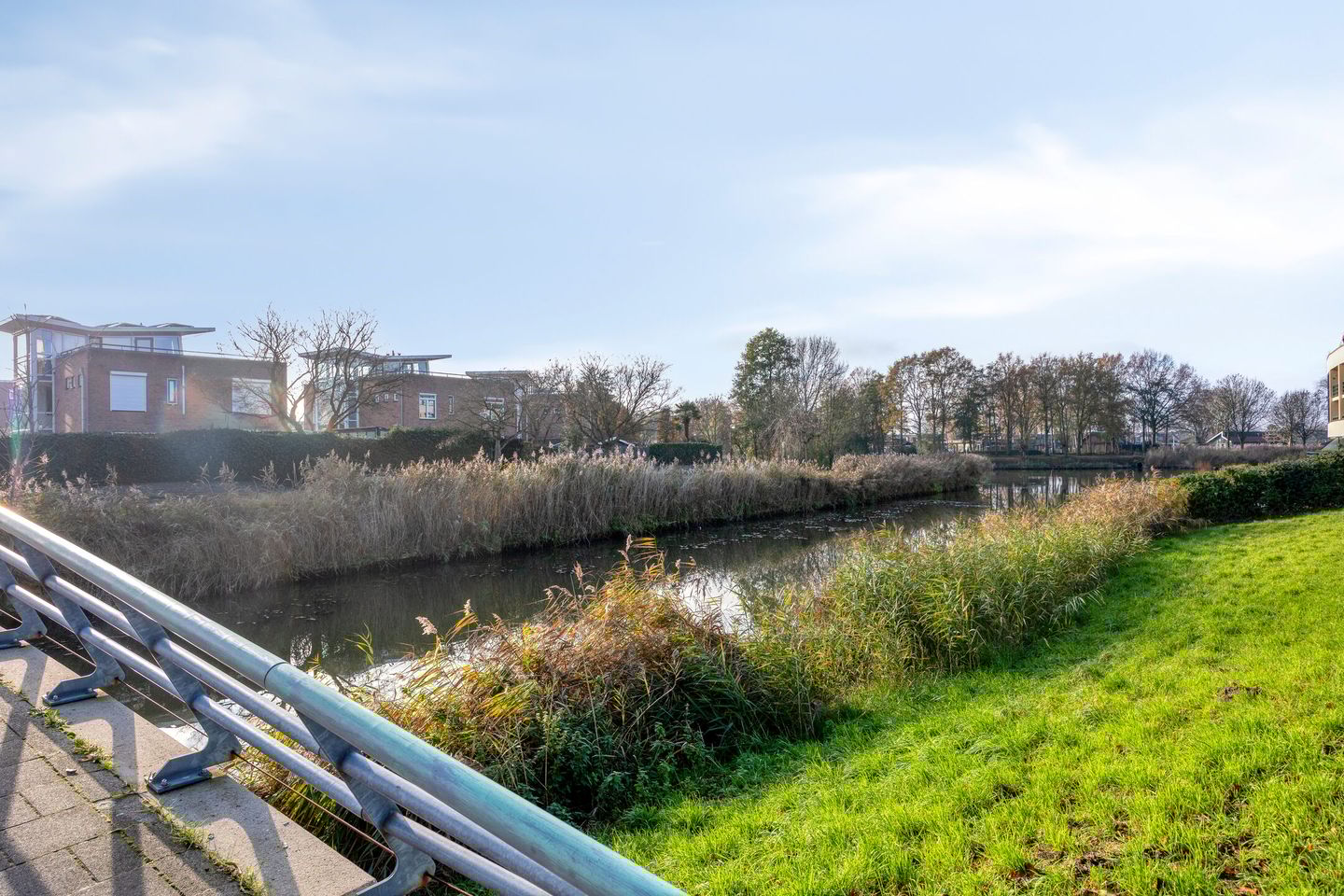 Foto 50 van Multatulipad 20