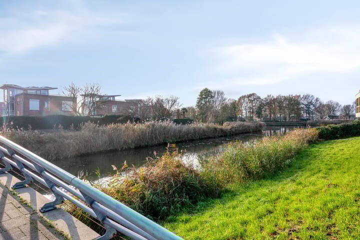 Foto 50 van Multatulipad 20