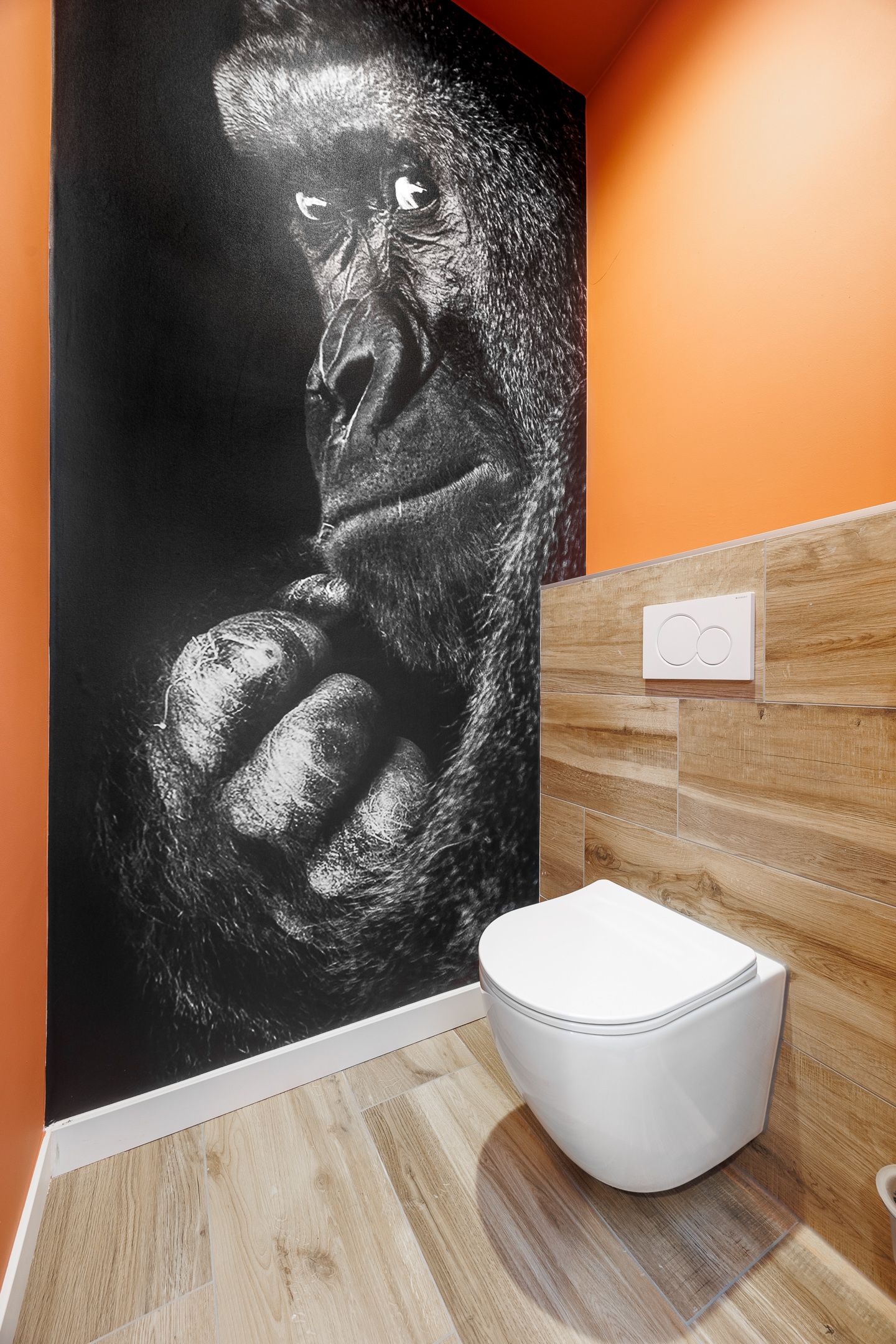 View photo 4 of Apolloweg 2-P