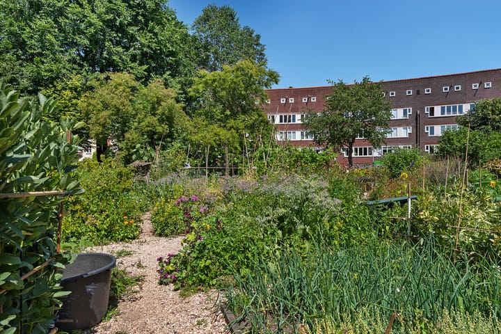 Foto 19 van Ben Viljoenstraat 53