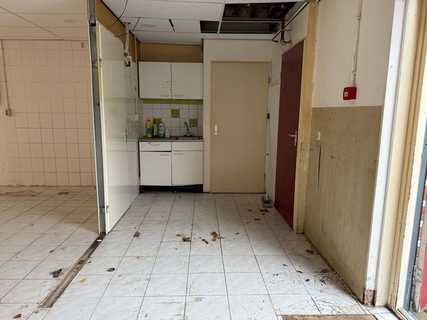 Bekijk foto 5 van Planciusplantsoen 26-A