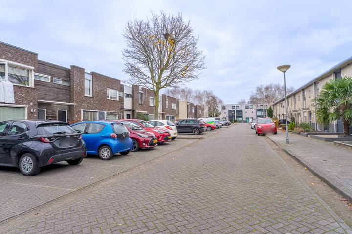 Foto 30 van Heideblauwtje 28