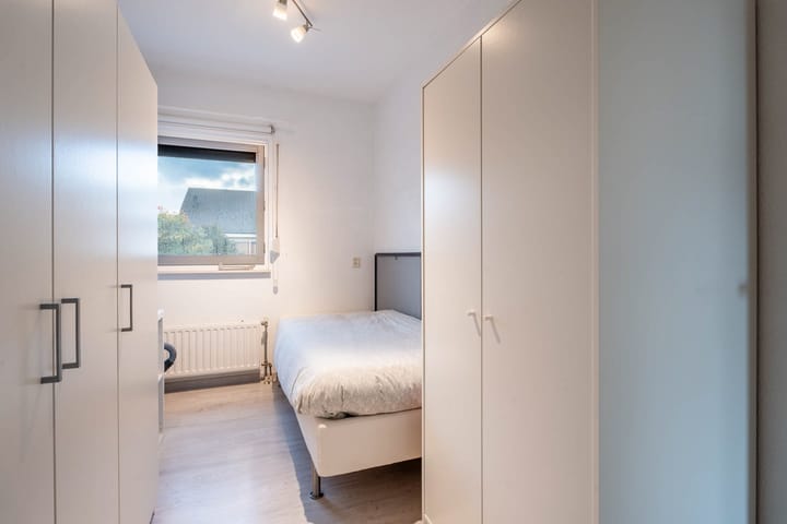 Foto 19 van Heideblauwtje 28