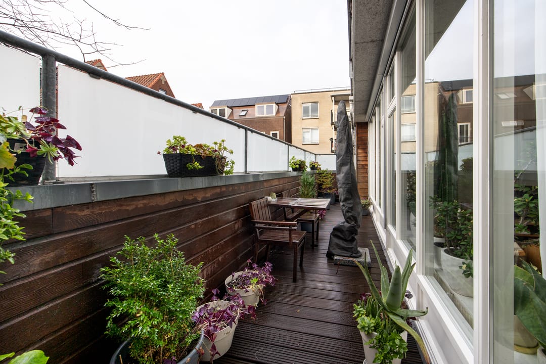 Photo 17 of Koolgracht 11