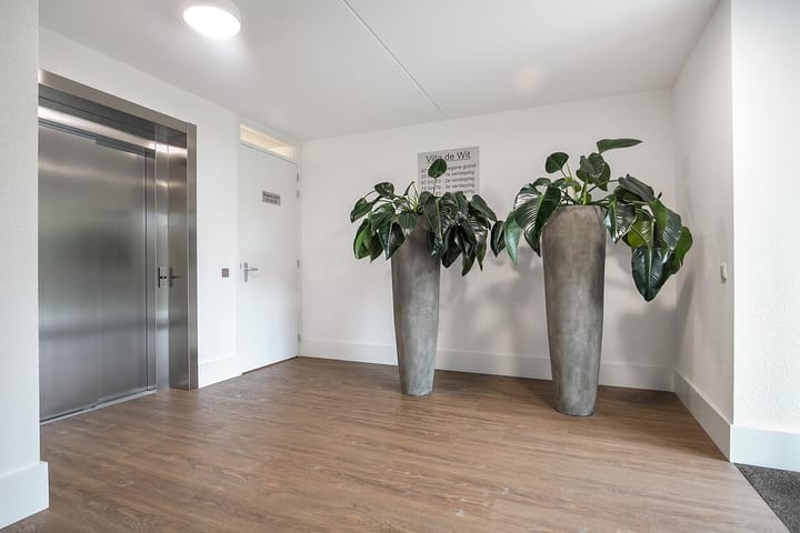 Photo 5 of Zoete Kers 71