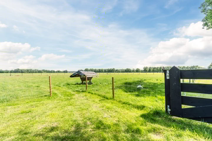 Photo 58 of Achter de Broeken 6