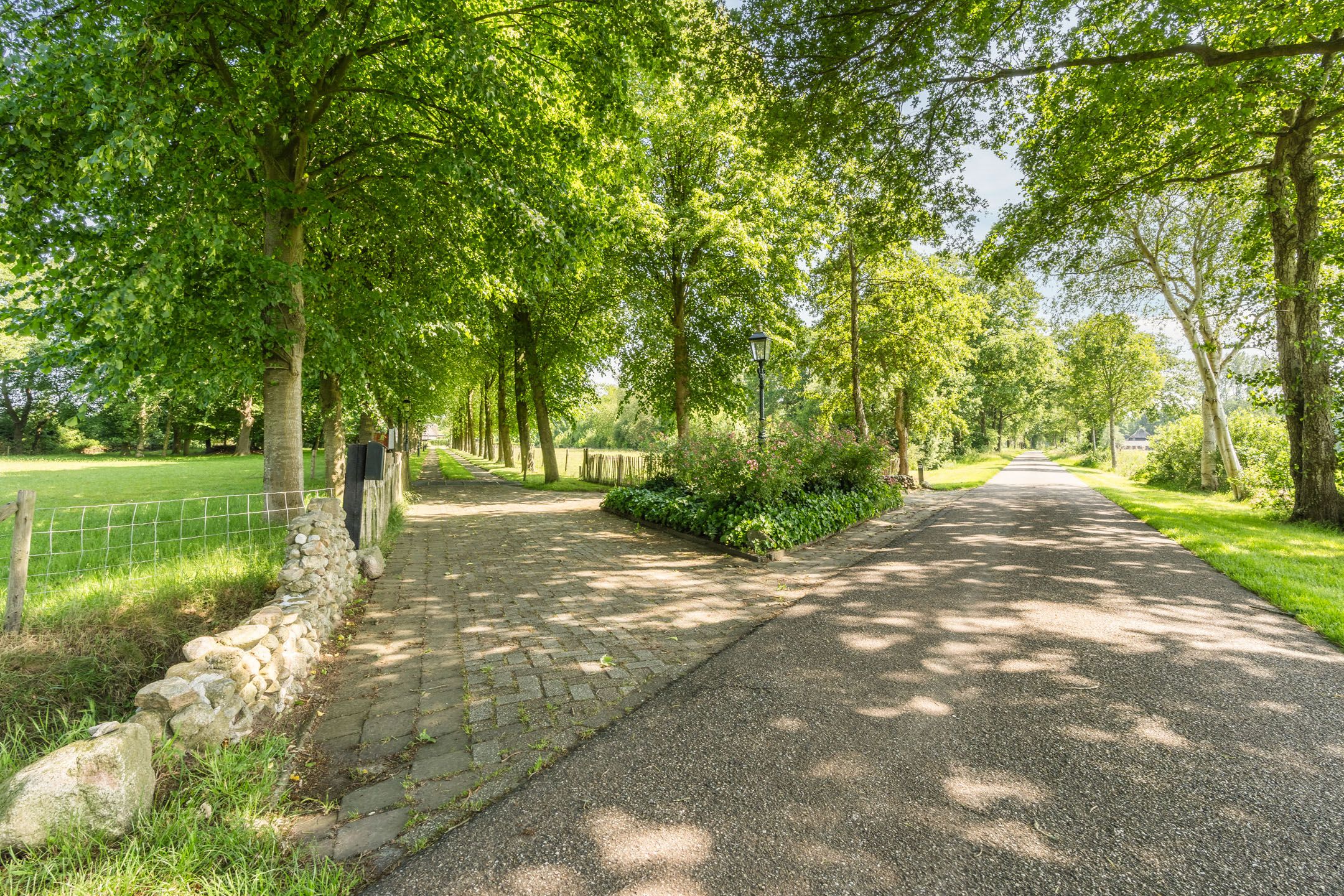 Photo 60 of Achter de Broeken 6