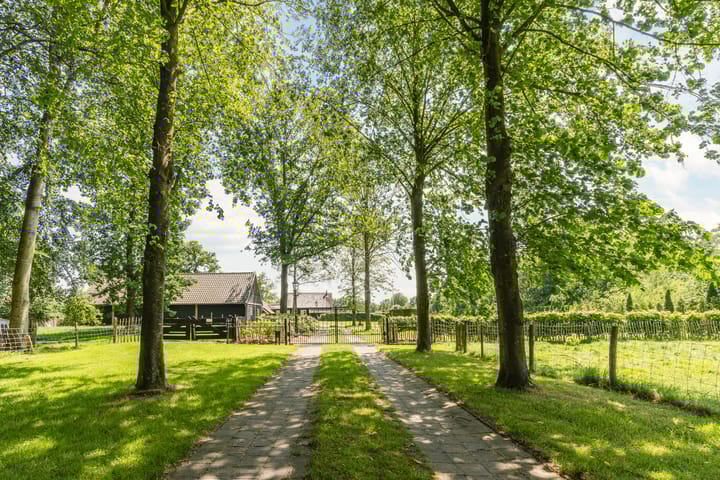 Photo 61 of Achter de Broeken 6