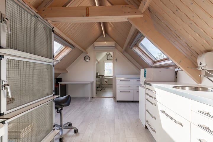 Foto 67 van Reygerboslaan 32