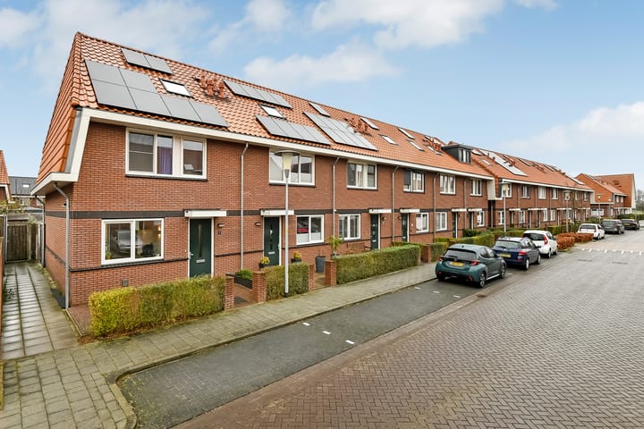 Foto 2 van Tweelingen 1