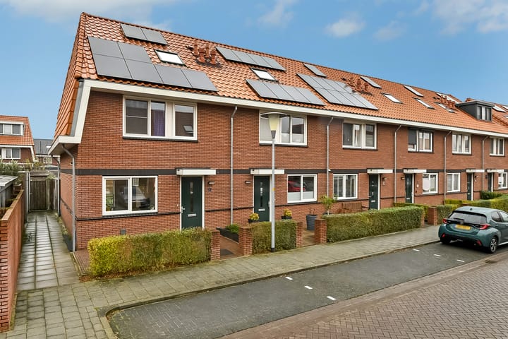 Foto 36 van Tweelingen 1