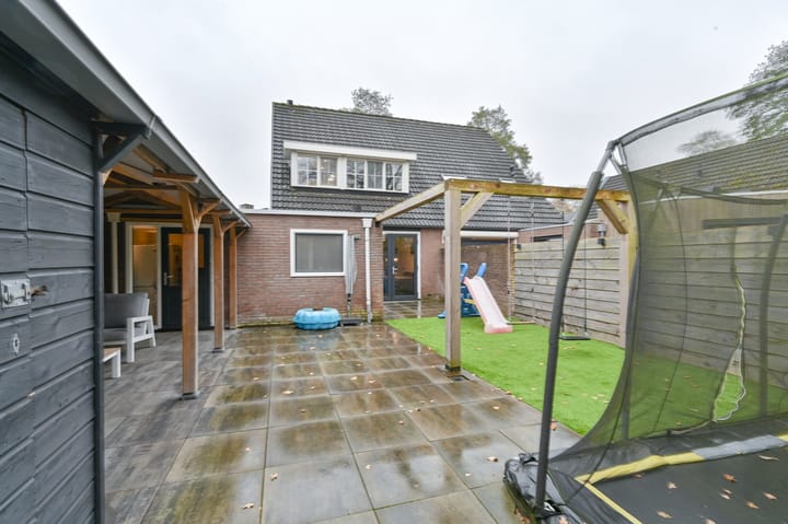 Foto 68 van Tormentil 10