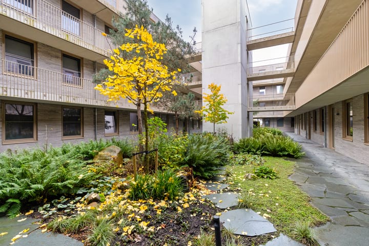 Photo 9 of de Veentjes 77