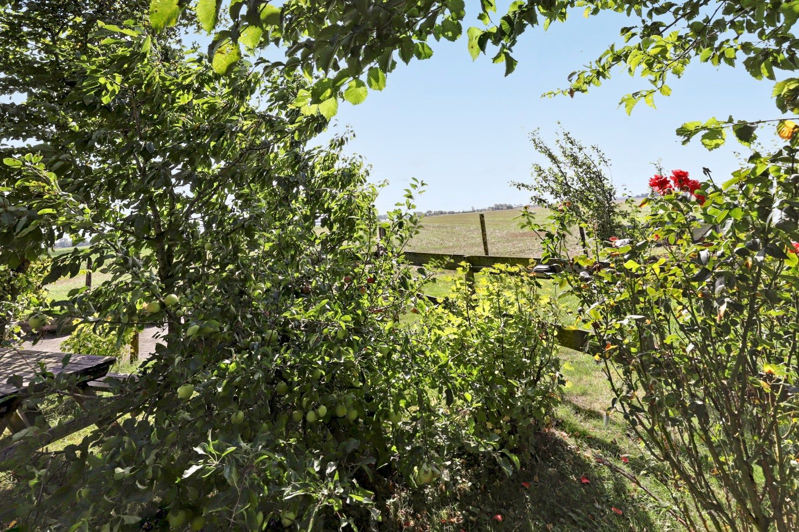 Photo 39 of Nieuwebildtdijk 93