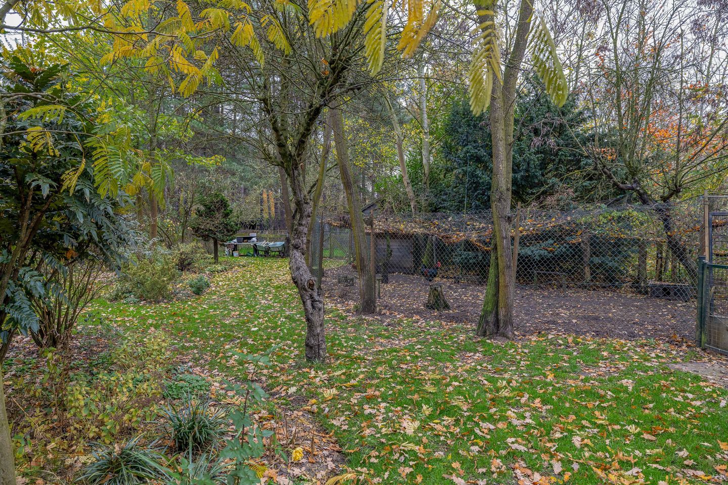 Foto 40 van Rullen 14