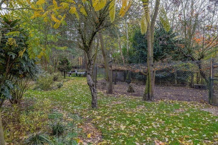 Foto 40 van Rullen 14