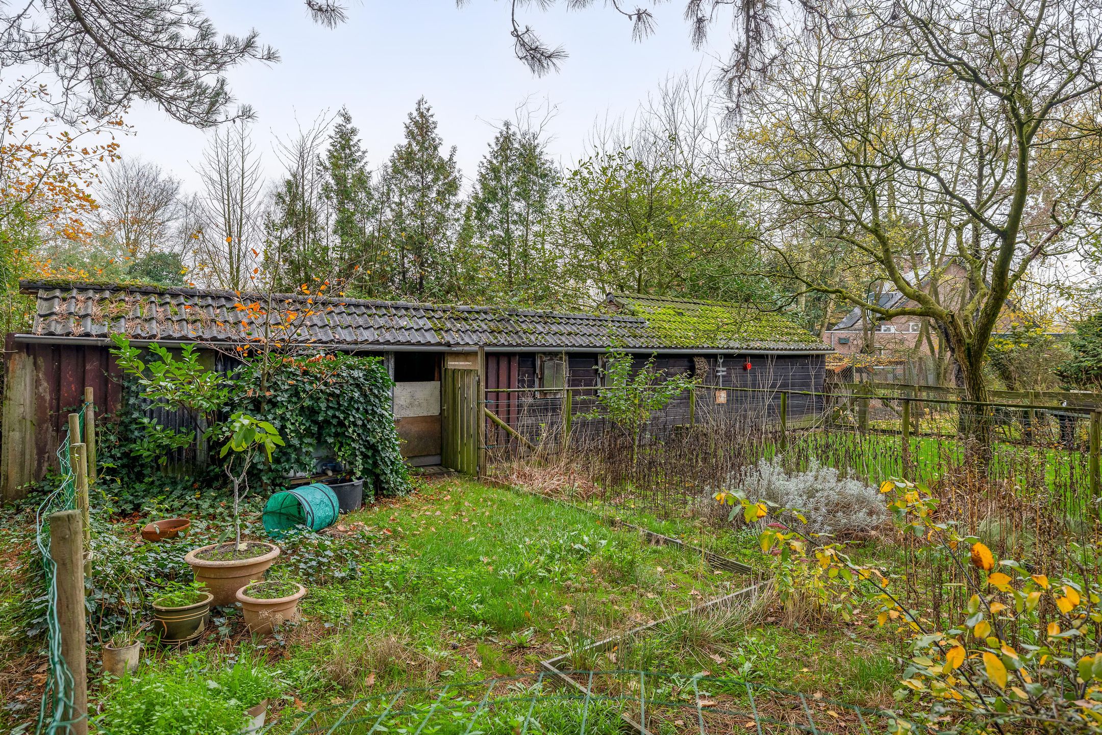 Foto 42 van Rullen 14