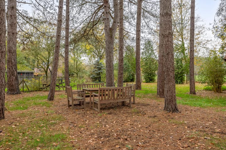 Foto 3 van Rullen 14