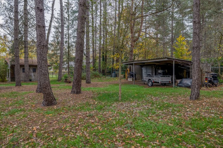 Foto 43 van Rullen 14