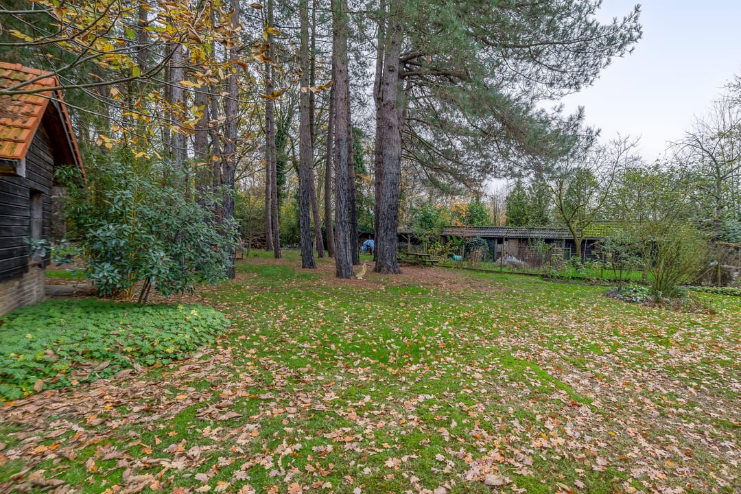 Foto 46 van Rullen 14