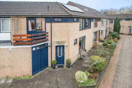 undefined main image