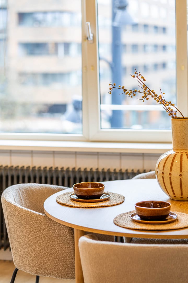 Foto 10 van Meent 42-E