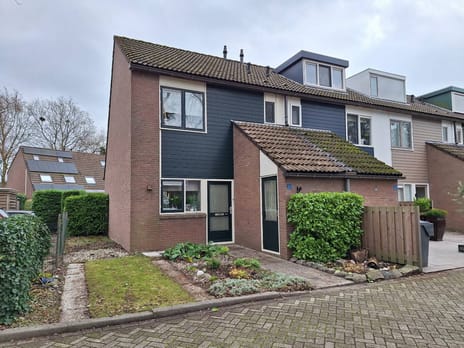 undefined main image