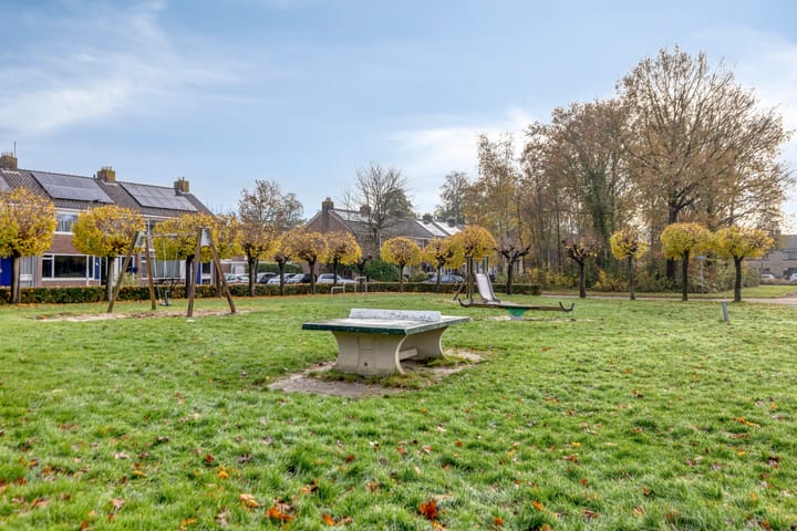 Foto 39 van Engwerd 6