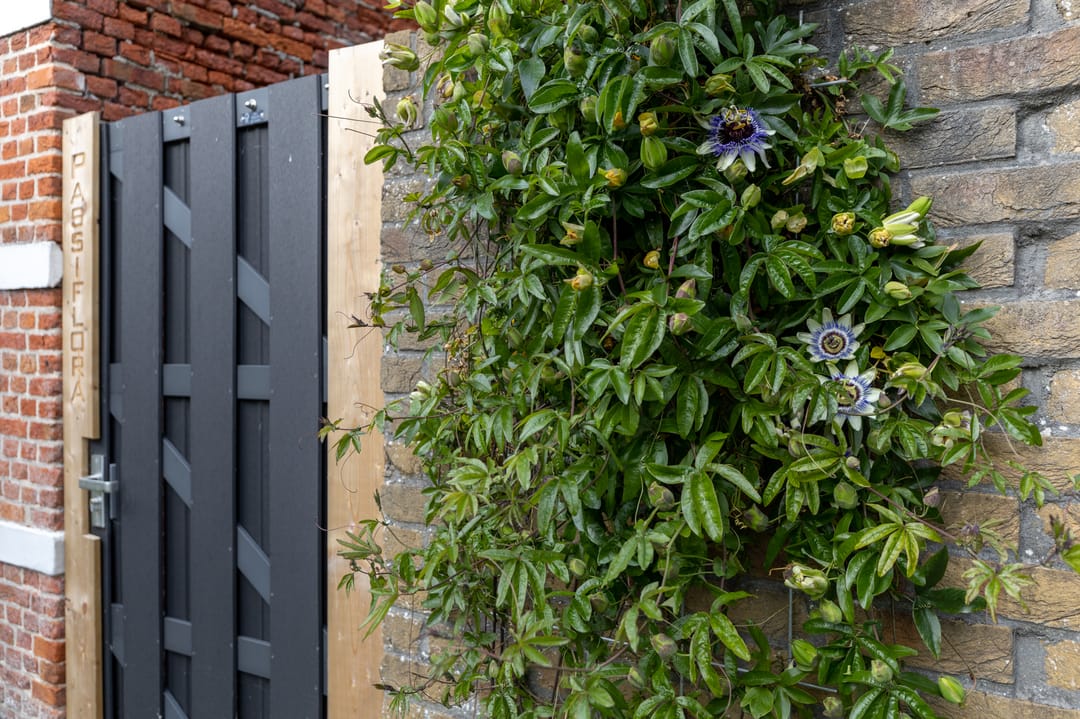 Foto 26 van Vrijburgstraat 10