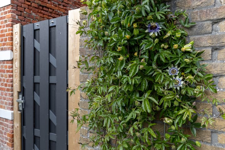 Foto 26 van Vrijburgstraat 10