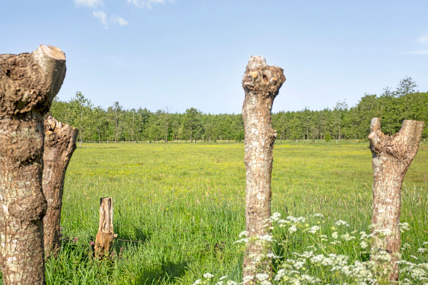 Photo 94 of Tongerenseweg-Zuid 157
