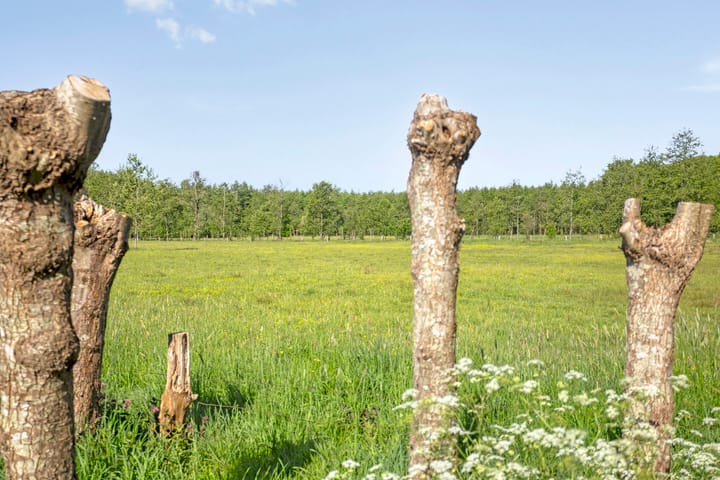 Photo 94 of Tongerenseweg-Zuid 157