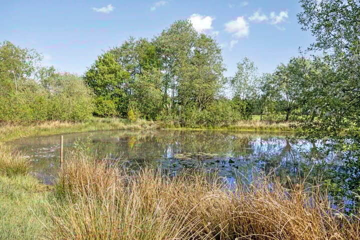 Photo 119 of Tongerenseweg-Zuid 157
