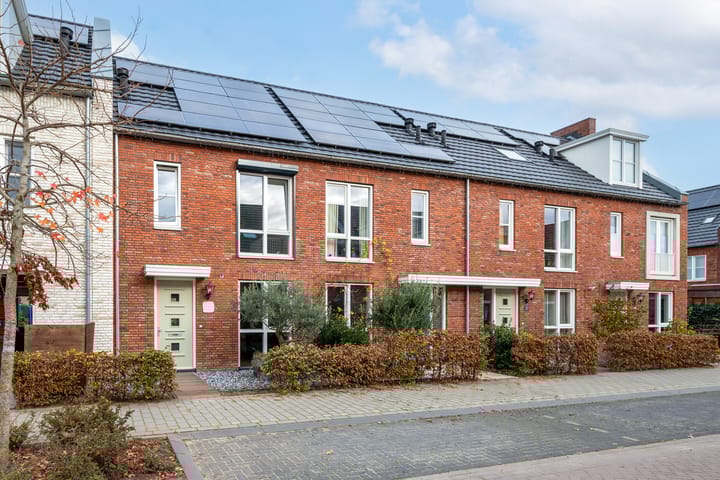 Foto 2 van Sergeant 31