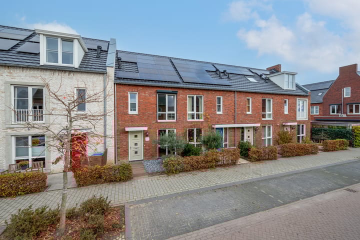 Foto 35 van Sergeant 31