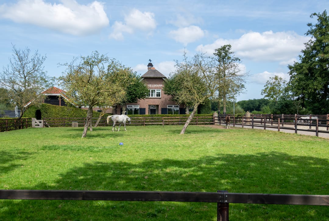 Foto 1 van Nieuwe Voorthuizerweg 10