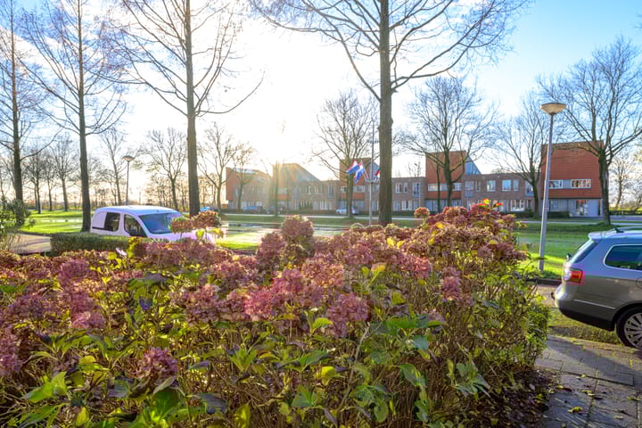 Photo 34 of Brink 23